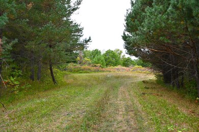 xxx Pequot Ct, Fawn Lake Township, MN 56438 - photo 4