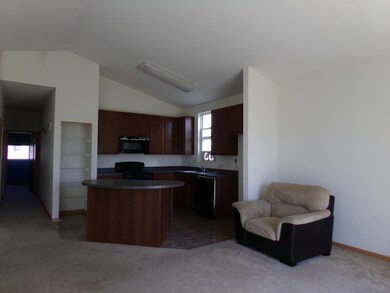 1024 Celebration Dr, Aurora, IL 60504 - photo 4