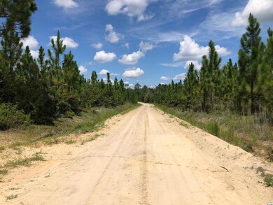 tbd Carriage Dr unit Lot B, Loris, SC 29569 - photo 3