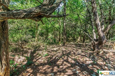 000 Little Mexico Rd, Temple, TX 76504 - photo 6