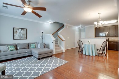 42225 Terrazzo Terrace, Stone Ridge, VA 20105 - photo 6