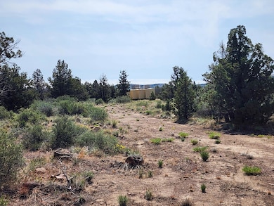 0 SE Walnut Ln unit 194 220203031, Prineville, OR 97754 - photo 2