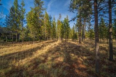4-web-or-mls-17970 North Course-04