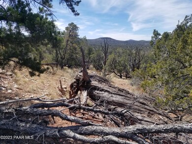 269a Off Cone Rd, Ash Fork, AZ 86320 - photo 2