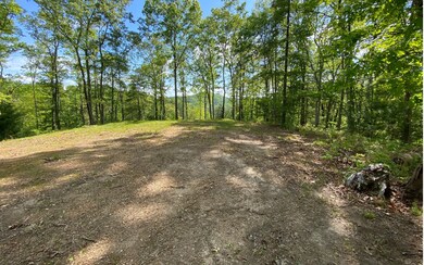 Additional View