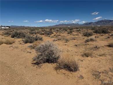 2.5 AC Bonita Dr, Dolan Springs, AZ 86441 - photo 4
