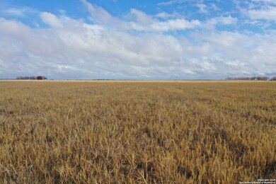 TBD County Road 441, Hondo, TX 78861 - photo 5