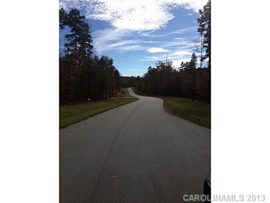 Lots Sweet Clover Way unit 30 lots, Denver, NC 28037 - photo 7