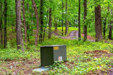 5030 Chinkapin Ln, Franklin, TN 37069 - photo 4