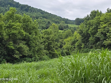 6835 Mulberry Gap Rd, Sneedville, TN 37869 - photo 2