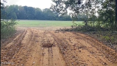 0 10 1 2 Acres Smith unit 4126758, Hernando, MS 38632 - photo 7