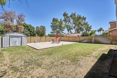 Backyard2