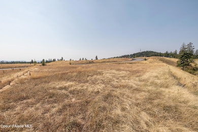 CDA National Reserve Lot 8 photos-7