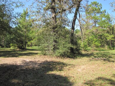 29520 Tudor Way, Magnolia, TX 77355 - photo 3