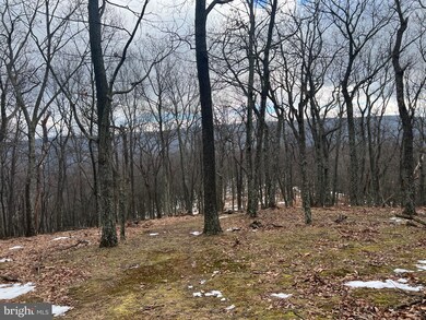 63 Sit Back Rd Off 93 E, Mount Storm, WV 26739 - photo 2