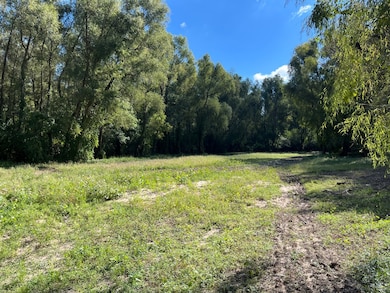 0 Cavass Rd, Woodville, MS 39669 - photo 2