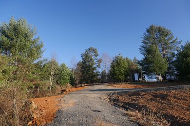 TBD Trapper Dr, Woodlawn, VA 24381 - photo 5