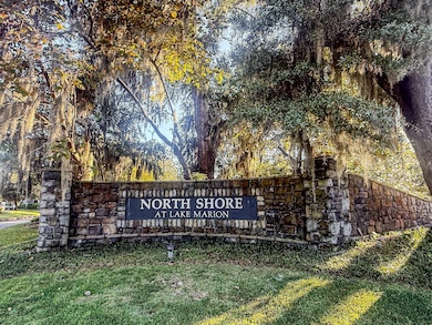 1082 Bridge View Ln unit A101, Summerton, SC 29148 - photo 2