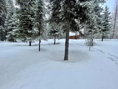 Main cabin through the trees