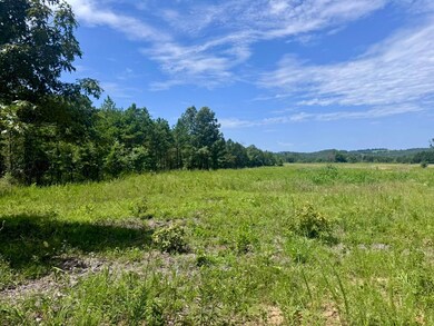 38A Honeysuckle Rd, Franklin, AR 72536 - photo 7