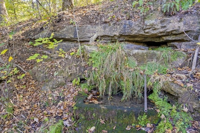 000 Wolf, Walnut Shade, MO 65771 - photo 7