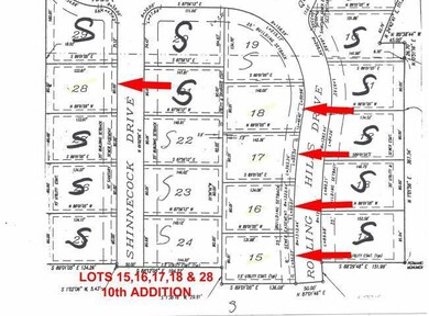 Lot 16 11th Addition, Fremont Hills, MO 65714 - photo 3