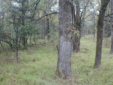 GREAT WOODS FOR HUNTING.