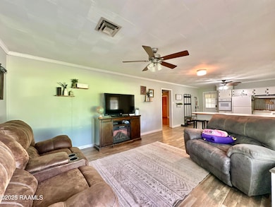 2211 Meche Rd, Rayne, LA 70578 - photo 6