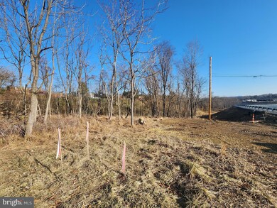 741 Independence St, Berkeley Springs, WV 25411 - photo 5