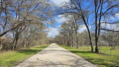 View of road featuring a forest view