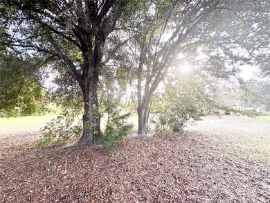 756 E Bismark St, Hernando, FL 34442 - photo 5