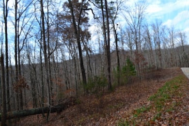 0 Tomahawk unit RTC3050220, Jamestown, TN 38556 - photo 5