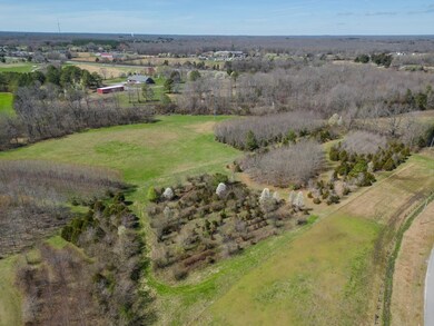 0 Will Hickerson Rd, Tullahoma, TN 37388 - photo 7