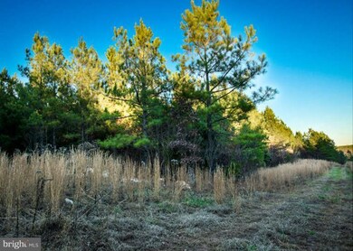 12700 New Chapel Rd, Spotsylvania, VA 22551 - photo 7