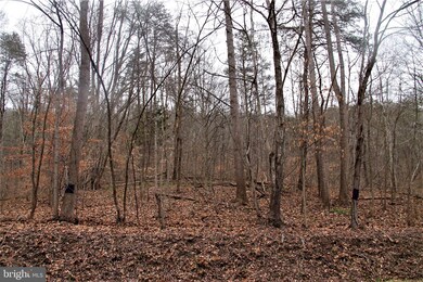Lot 9 Carters Run Rd, Marshall, VA 20115 - photo 4