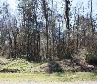 TBD Brooks Dr unit Lot  27, Denham Springs, LA 70726 - photo 4