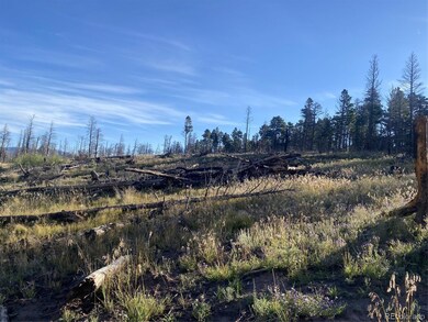 2283 Wohlstetter Loop, Fort Garland, CO 81133 - photo 5