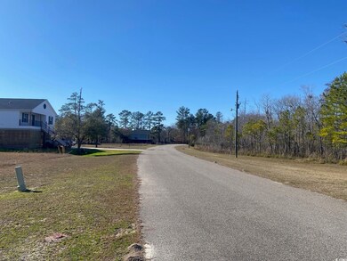 124 Lure Ct, Conway, SC 29526 - photo 7