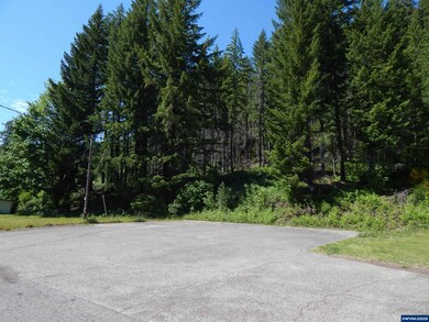0 N Santiam Hwy unit 832277, Idanha, OR 97350 - photo 4