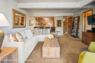 131 E Durant Ave unit 202, Aspen, CO 81611 - photo 3