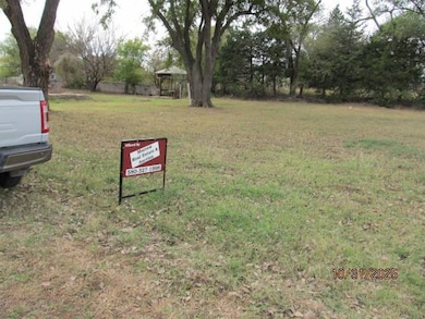 shade tree on vacant lot