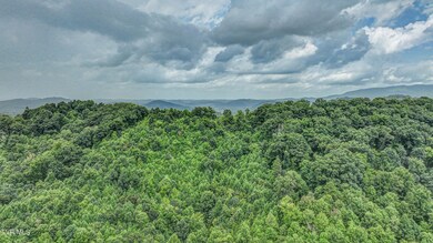dji_20240802122639_0046_d_47_d_48_d_49_d