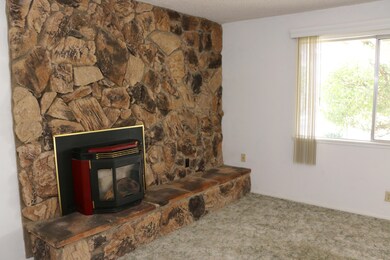 IMG_4535 (2)