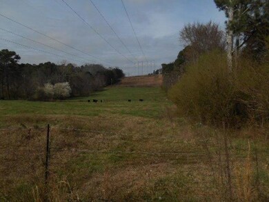 Terry MIles property 003