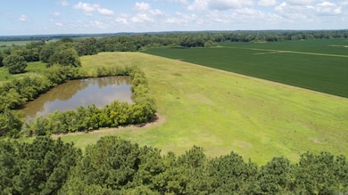 505 Highway 49, Rector, AR 72461 - photo 3