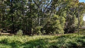 2 Arrow Trail, Waleska, GA 30183 - photo 3