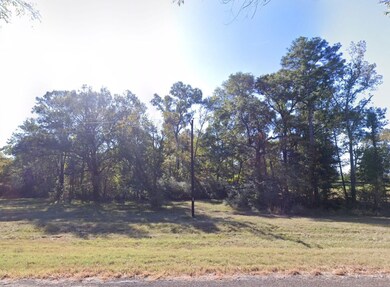 Plantation Blvd, Trinity, TX 75862 - photo 3