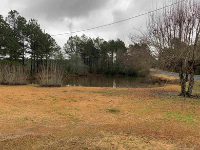 132 Herring Rd, Sylvester, GA 31791 - photo 4