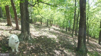 Lot 203 Hampshire Ridge, Romney, WV 26757 - photo 7