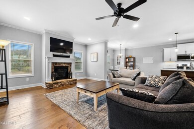 12730 Myrtle Ridge Ln, Knoxville, TN 37932 - photo 4